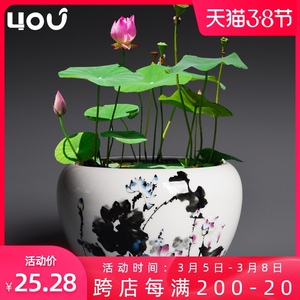 睡莲盆缸碗莲专用花盆陶瓷大号水养植物一叶莲荷花盆铜钱草水培