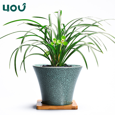 哥窑复古兰花带托盘吊兰花盆陶瓷