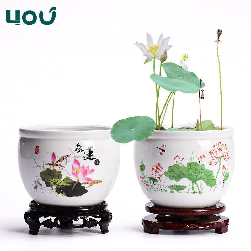碗莲水培花盆铜钱草专用陶瓷盆缸绿萝水养睡莲白色圆形无孔容器小