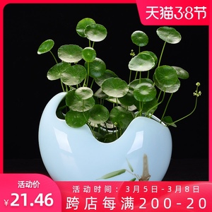 铜钱草水培花盆陶瓷容器创意简约碗莲盆专用绿萝水仙花睡莲盆缸大