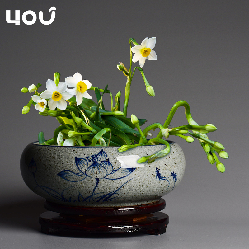 水仙花盘价格 水仙花盘图片 星期三 水仙花盘价格 水仙花盘图片 星期三