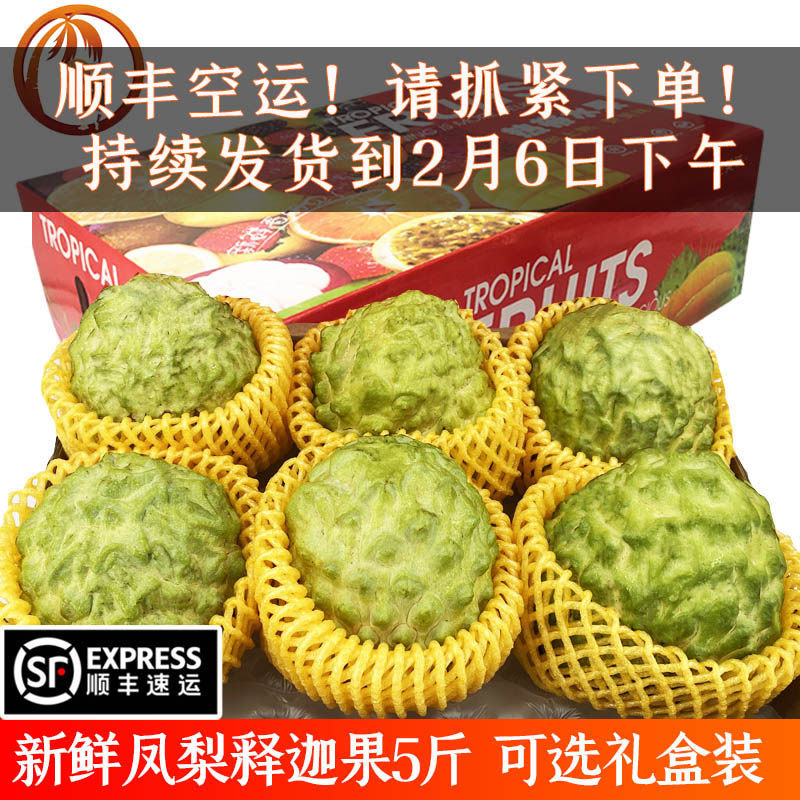 【顺丰空运】海南释迦果礼盒装