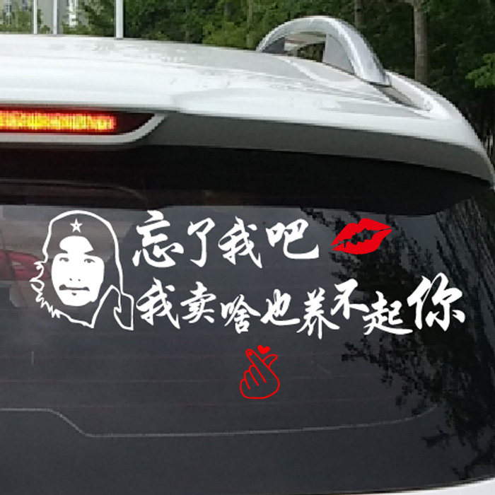 忘了我吧 我偷啥也养不起你 个性车贴创意搞笑贴纸 定制文字抖音