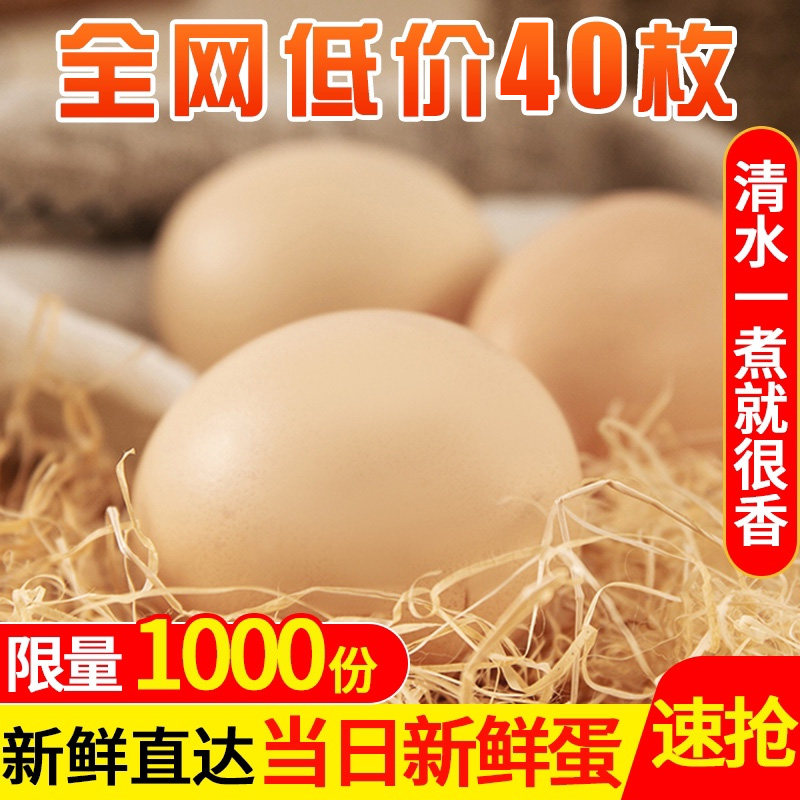 正宗土鸡蛋农家散养新鲜纯农村自养天然40枚草鸡蛋柴鸡蛋笨鸡蛋