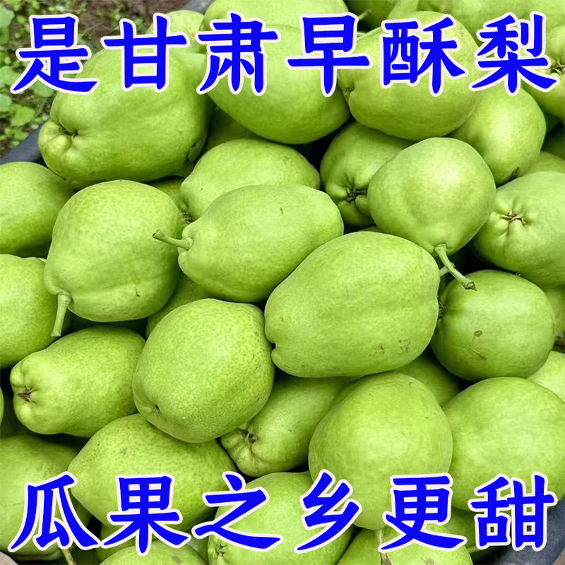 甘肃景泰早酥梨脆甜青皮梨当季新鲜水果薄皮多汁脆甜高山梨子批发