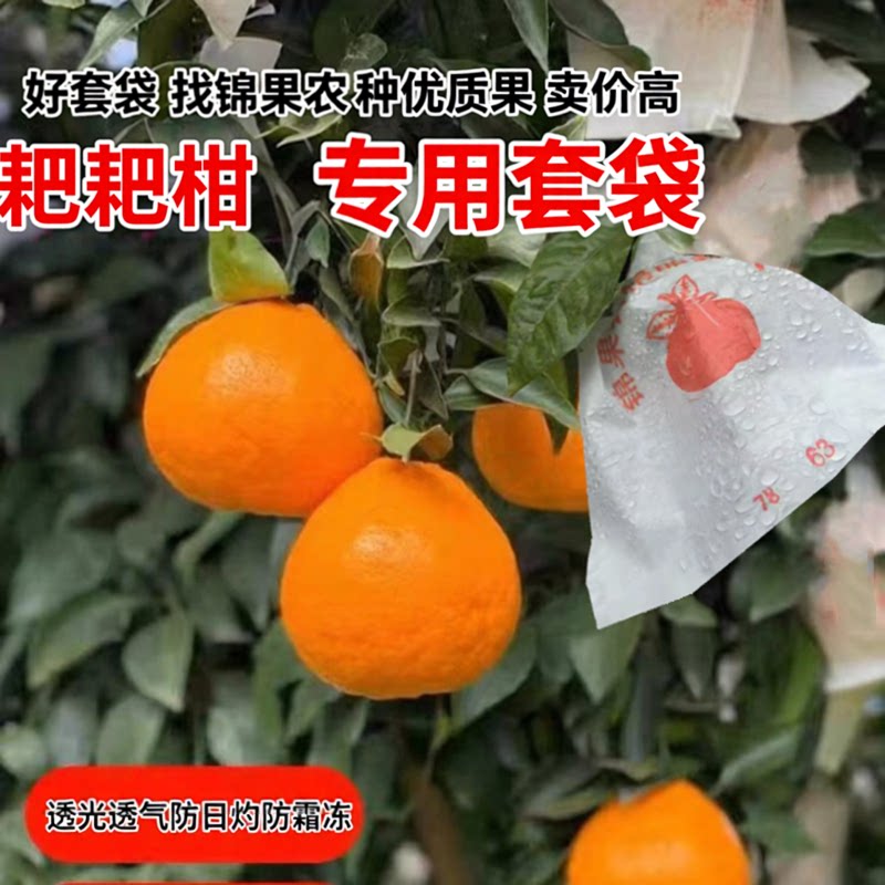 厂家直销批发橘子专用袋耙耙柑红美人爱媛柑橘纸袋包桔子防霜冻袋