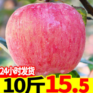 【新全的《卫生部医学视听教材》图片】新全的