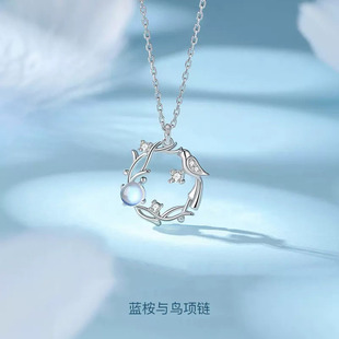 S925纯银蓝桉已遇释怀鸟银项链轻奢质感设计月光石吊坠高级感正品
