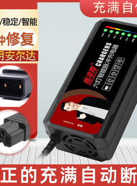 适用于玉麒麟安尔达电动车电瓶充电器48V60V72V80V84V96V20AH两孔