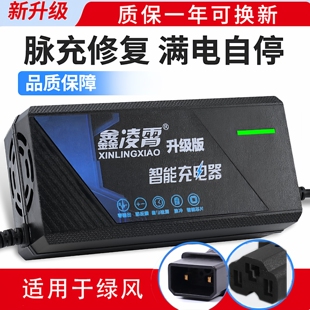 适用于绿风电动车电瓶电车通用充电器48V12AH20AH60V72V两孔30AH