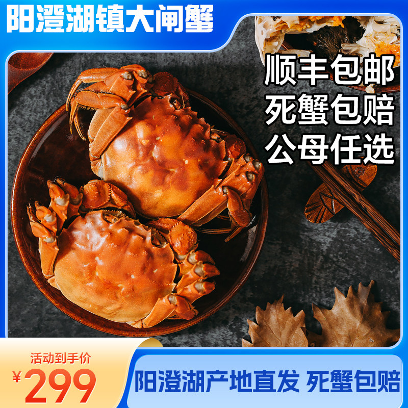 活蟹现货大闸蟹鲜活特大螃蟹公蟹母蟹3两阳澄湖镇10只礼盒抵用券使用感如何?