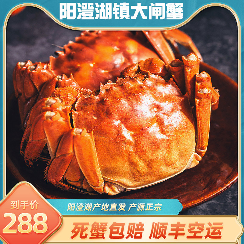 现货活蟹特大阳澄湖镇大鲜活螃蟹全母蟹2.8-3.2两10只礼盒抵用券使用感如何?
