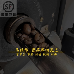 少量马拉维malawi 密苏库精品手冲咖啡豆 中浅烘焙 果香 果酸丰富