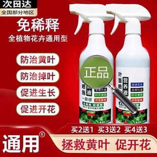 固即季官方旗舰店营养液官营店专营店适用耕全植物和全花卉专