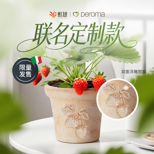 Deroma帝罗马定制草莓郁金香陶土花盆创意高级感透气瓷盆阳台种植