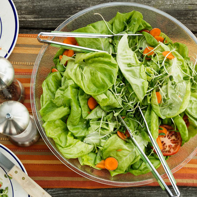 花彩可食用生菜羽衣甘蓝薄荷蔬菜盆栽耐寒耐热室内阳台新手好养活