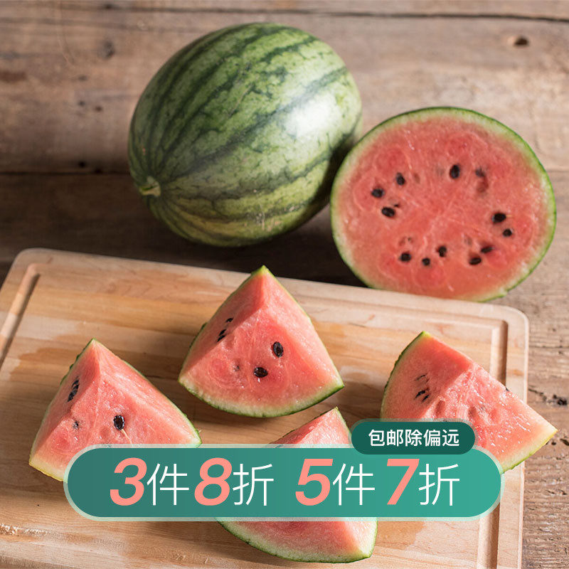 黄瓜种苗价格 黄瓜种苗图片 星期三 黄瓜种苗价格 黄瓜种苗图片 星期三