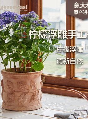 虹越EV陶盆进口柠檬枝蔓圆柱型浮雕花盆绿植室内盆栽复古手工盆