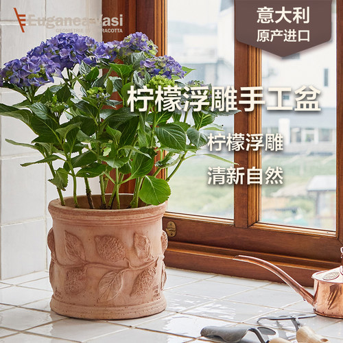 虹越EV陶盆进口柠檬枝蔓圆柱型浮雕花盆绿植室内盆栽复古手工盆