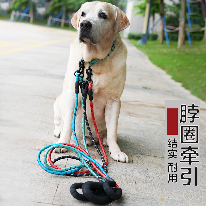 舒适脖圈+牵引绳幼成犬金毛拉布拉多小中大型犬狗链带狗项圈狗绳