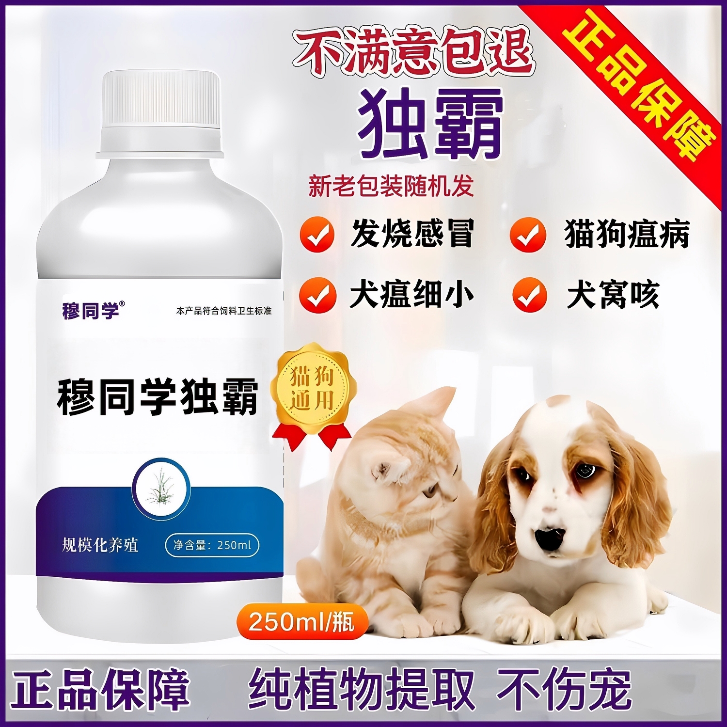 独霸独速清纯植物提取细小窝咳