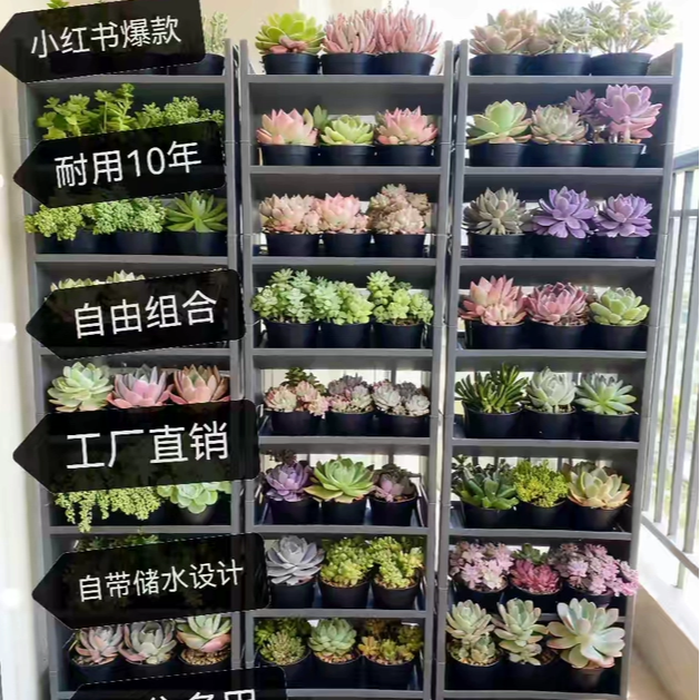 草莓立体种植花盆自动浇水庭院