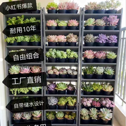 草莓立体种植花盆自动浇水庭院