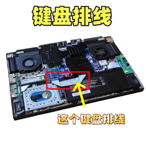 适用机械革命X8TI X9TI X10TI F117B深海泰坦机械键盘排线连主板
