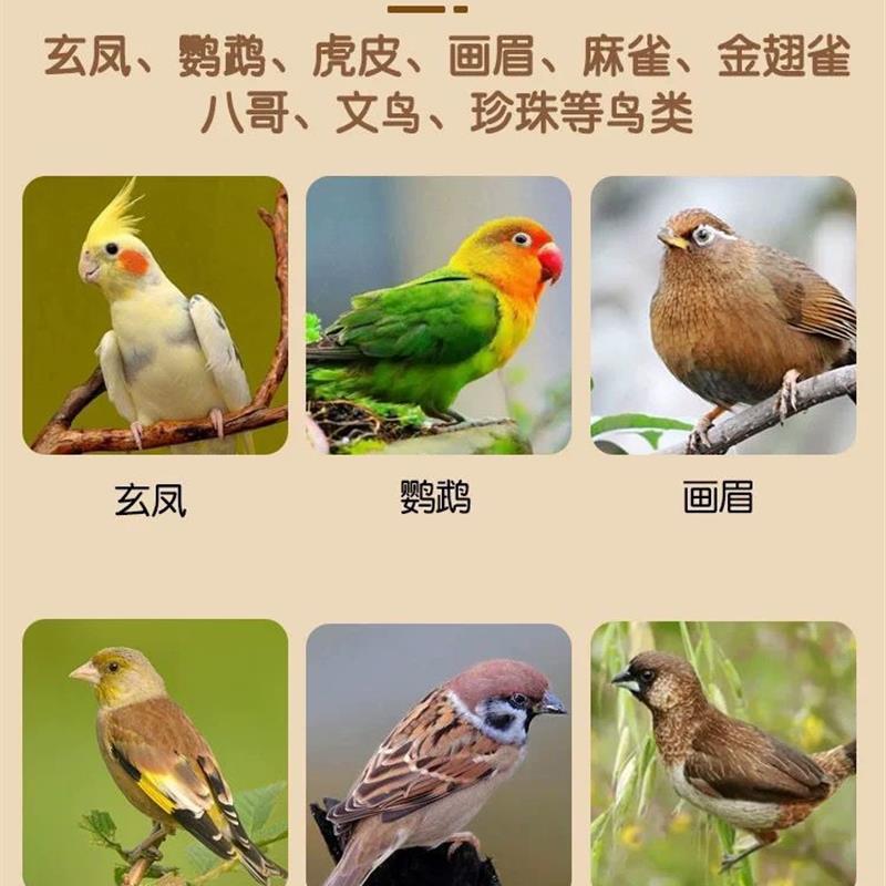 鸟用品粪便砂鹦鹉垫沙除臭用品垫料垫材尿沙鸟笼底铺尿砂鸟用垫砂