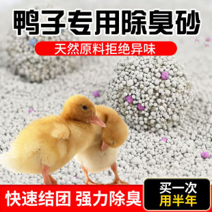 鸭子除臭垫料砂宠物柯尔鸭沙子厕所垫料尿砂10斤20斤粪便清理清洁