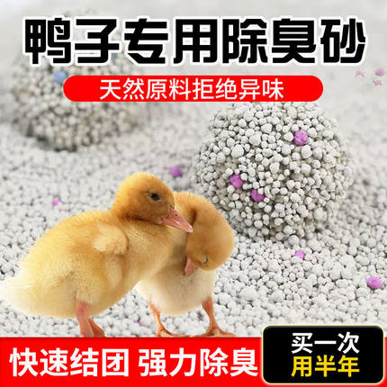 鸭子除臭垫料砂宠物柯尔鸭沙子厕所垫料尿砂10斤20斤粪便清理清洁