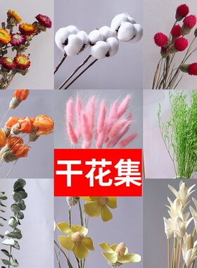 干花多品种干花满天星装饰花瓶