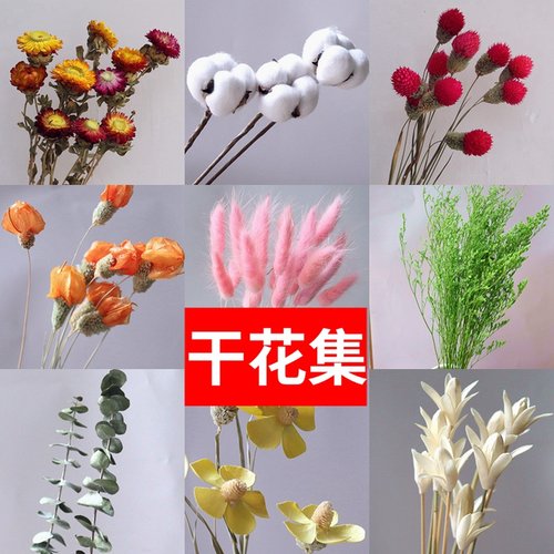 干花多品种干花满天星装饰花瓶