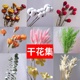多种云南干花真花自由搭配棉花满天星家居饰品花束客厅花瓶摆设