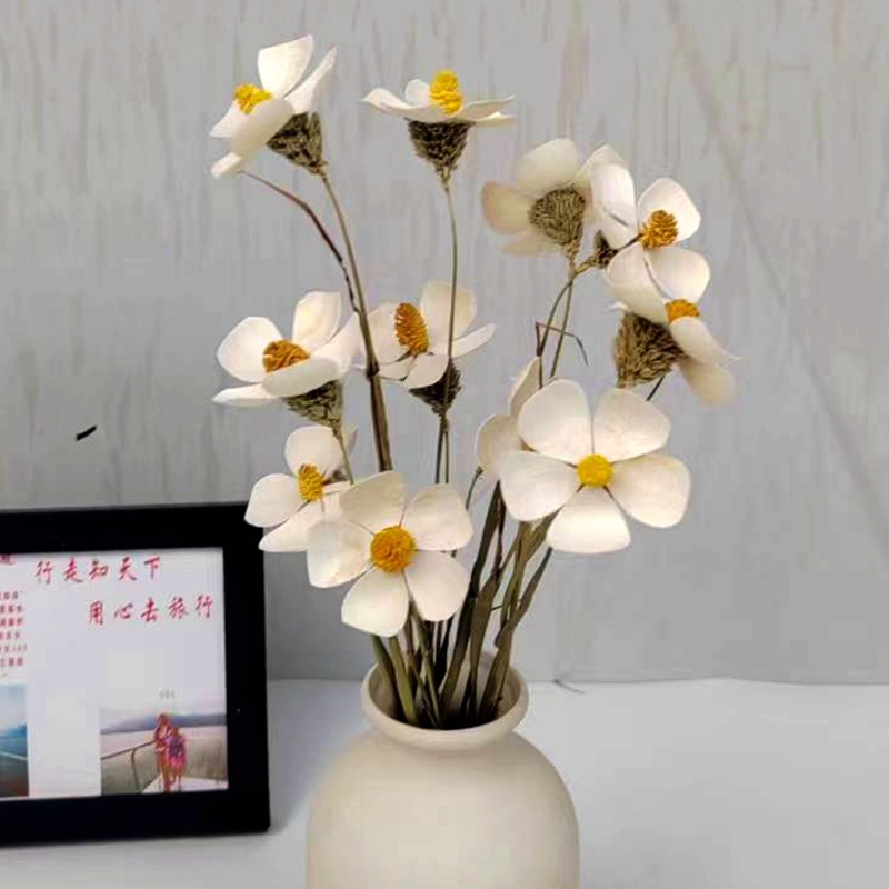 紫罗兰云南手工植物干花真花装饰花插花束客厅餐桌花艺田园