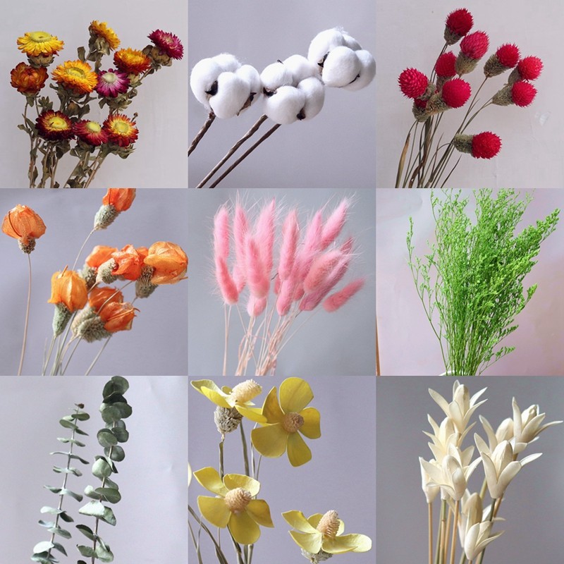 多种云南干花真花自由搭配棉花满天星家居饰品花束客厅花瓶摆设,家居饰品,干花/花瓣/干花包/干树枝,淘宝优惠券,粉丝福利购,淘宝优惠卷