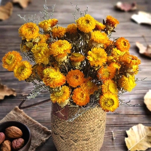 云南自然色小雏菊花束干花真花摆家居装饰氛围超高性价比花束组合