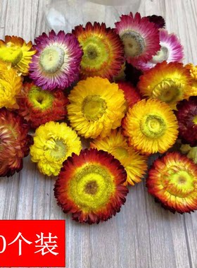 干花材料包干花相框diy手工雏菊