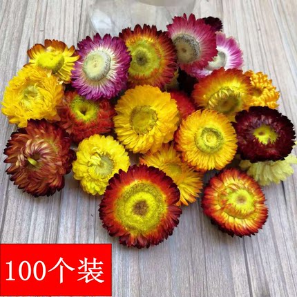 100朵自然七彩真干花雏菊多品种diy材料包相框装饰幼儿园手工制作