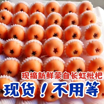 【高端高品质】【留言可送叶子】新鲜现摘云南蒙自枇杷果琵琶鲜果