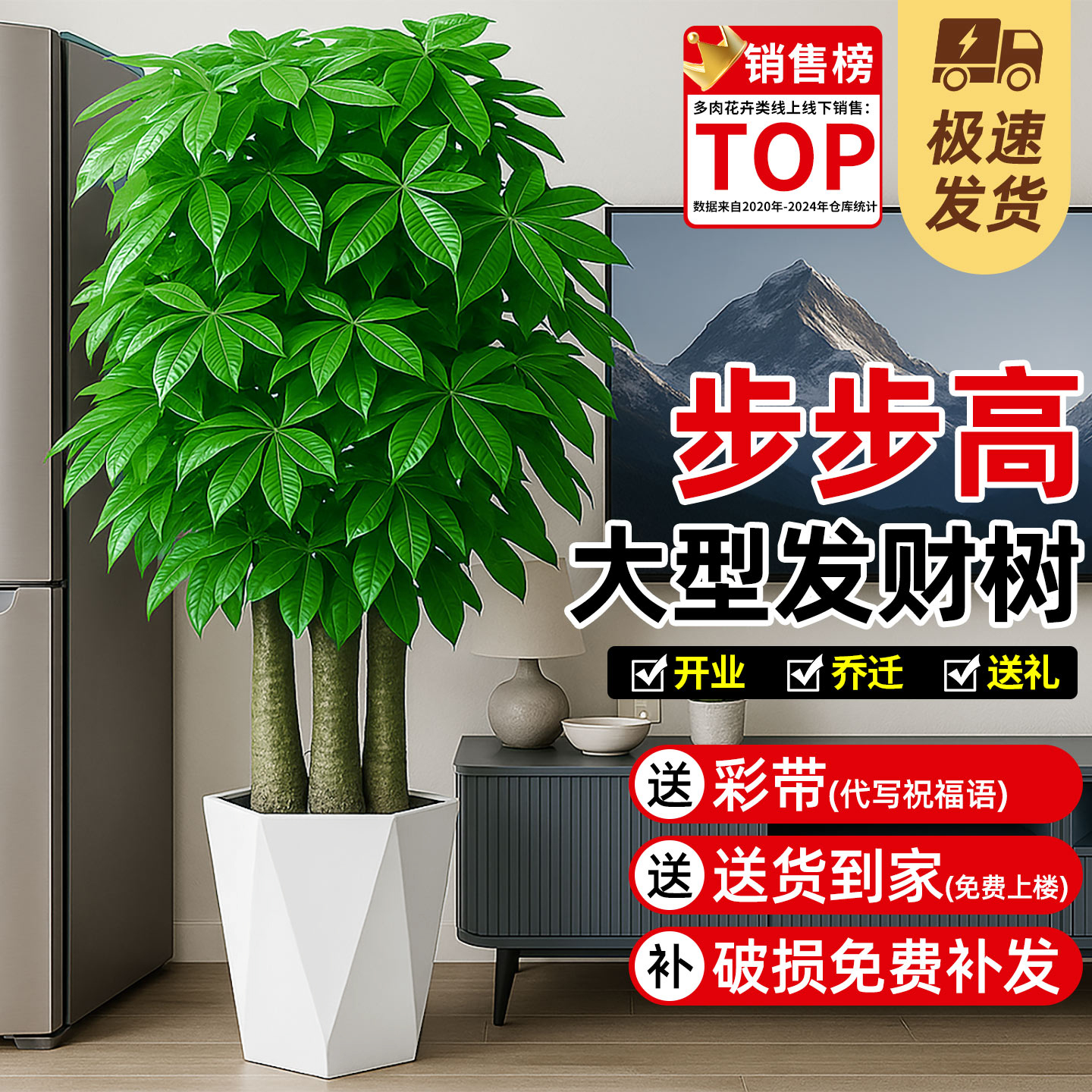 步步高发财树大型绿植物大树办公室内三杆招财树开业送礼旺财盆景