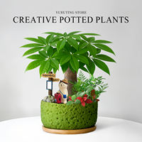 Money tree potted flowers, green plants, indoor plants, office desk bonsai, ornaments, living room, prosperous house, easy to take care of throughout the four seasons thumbnail 2