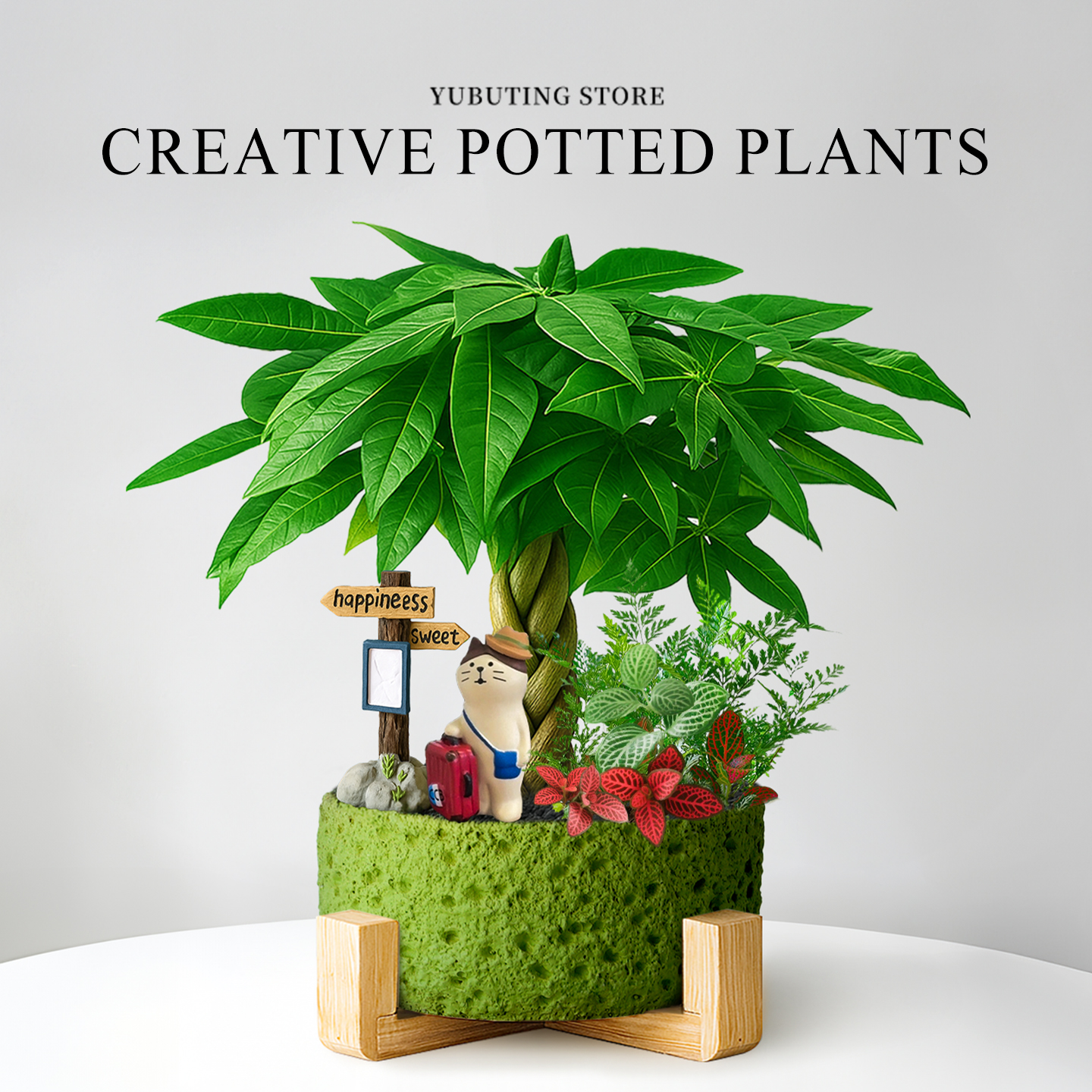 五福发财树绿植盆栽室内植物办公室桌面盆景摆件客厅旺宅四季好养