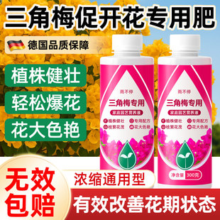 三角梅促开花专用颗粒肥料促爆花营养液骨粉复合肥梅花卉增色繁茂