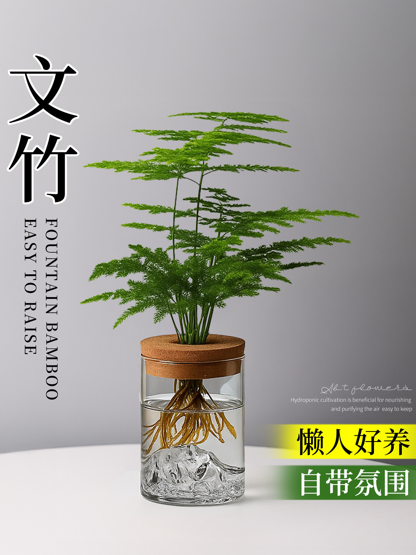 文竹盆栽室内水培植物办公室桌面绿植花卉小摆件净化空气懒人好养,鲜花速递/花卉仿真/绿植园艺,绿植,淘宝优惠券,粉丝福利购,淘宝优惠卷