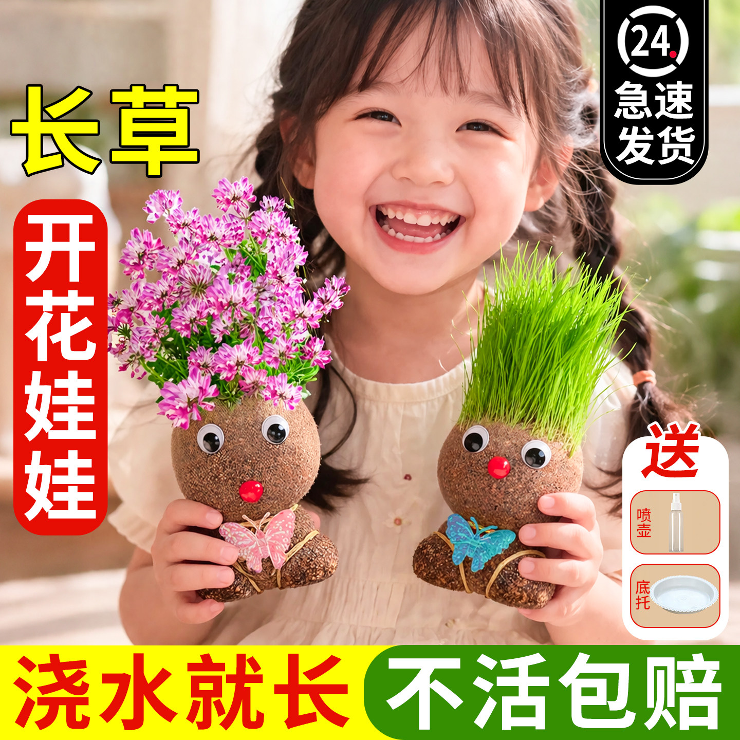 草头娃娃幼儿园儿童观察植物图片