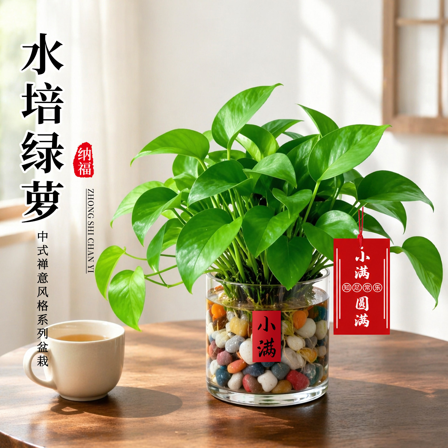 绿萝室内盆栽水培绿植客厅办公室桌面绿植摆件净化空气四季好养活