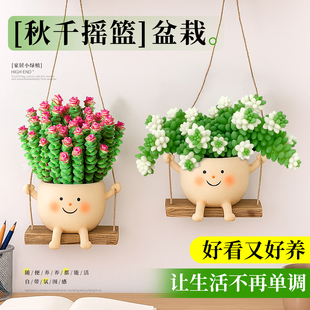 多肉植物室内盆栽壁挂装 饰办公室绿植鸟巢蕨可爱笑脸秋千垂吊植物