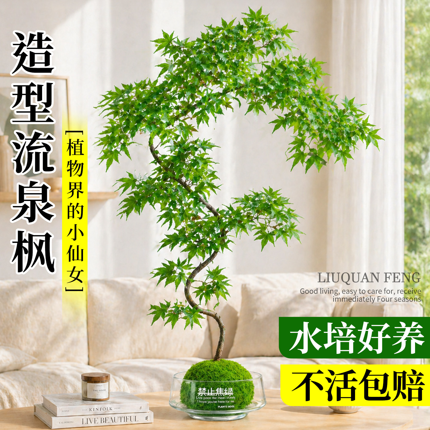 造型流泉枫盆栽室内绿植客厅办公室桌面盆景中式禅意摆件新手好养