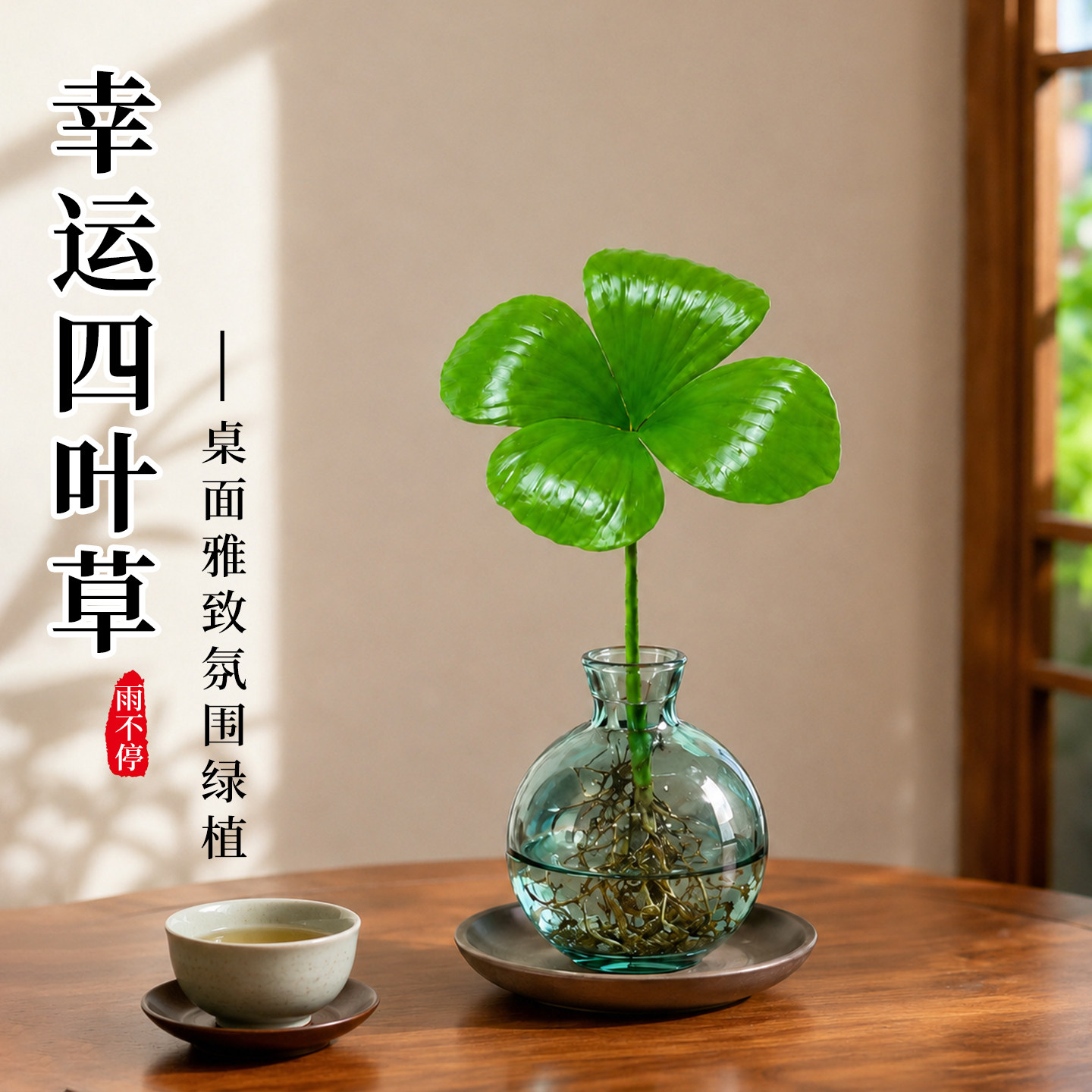 幸运四叶草墨西哥铁树植物水培养盆栽绿植办公室内禅意桌面小摆件